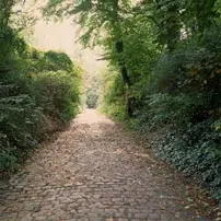 Path