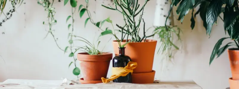 Décoratif